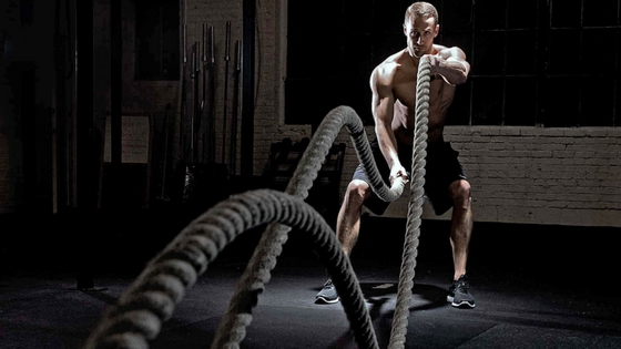 3 Keys To Building Muscle And Burning Fat At The Same Time