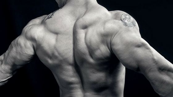 3 Essentials To Building A Strong Functional Back